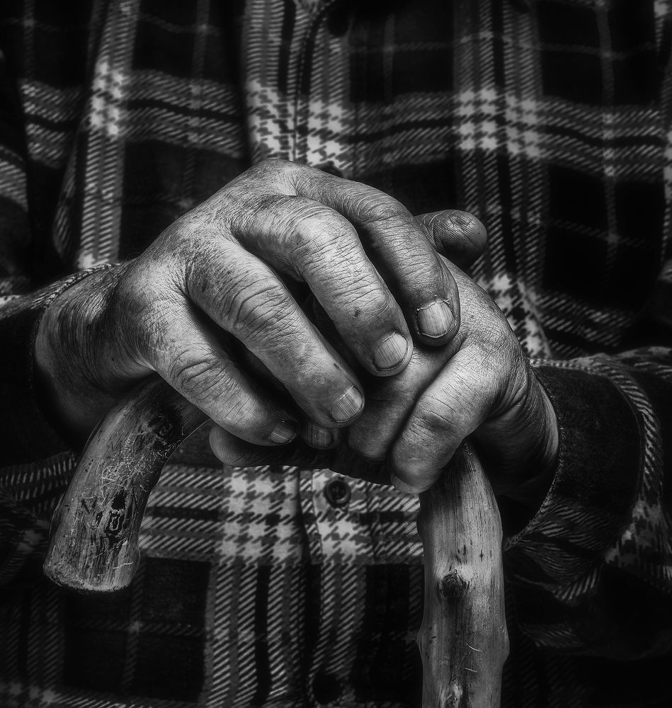 Photograph by Tom Pavlasek