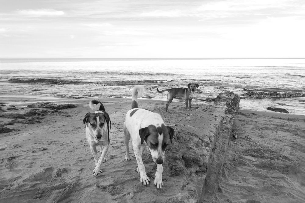 Фотография автора Ryadh Gharbi