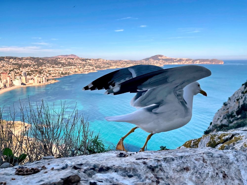 Photograph by Galina Baranovskaja