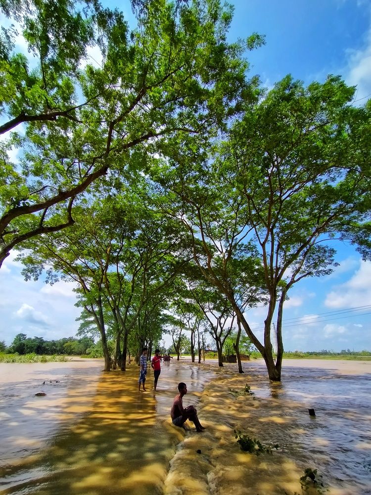 When green touch the blue sky