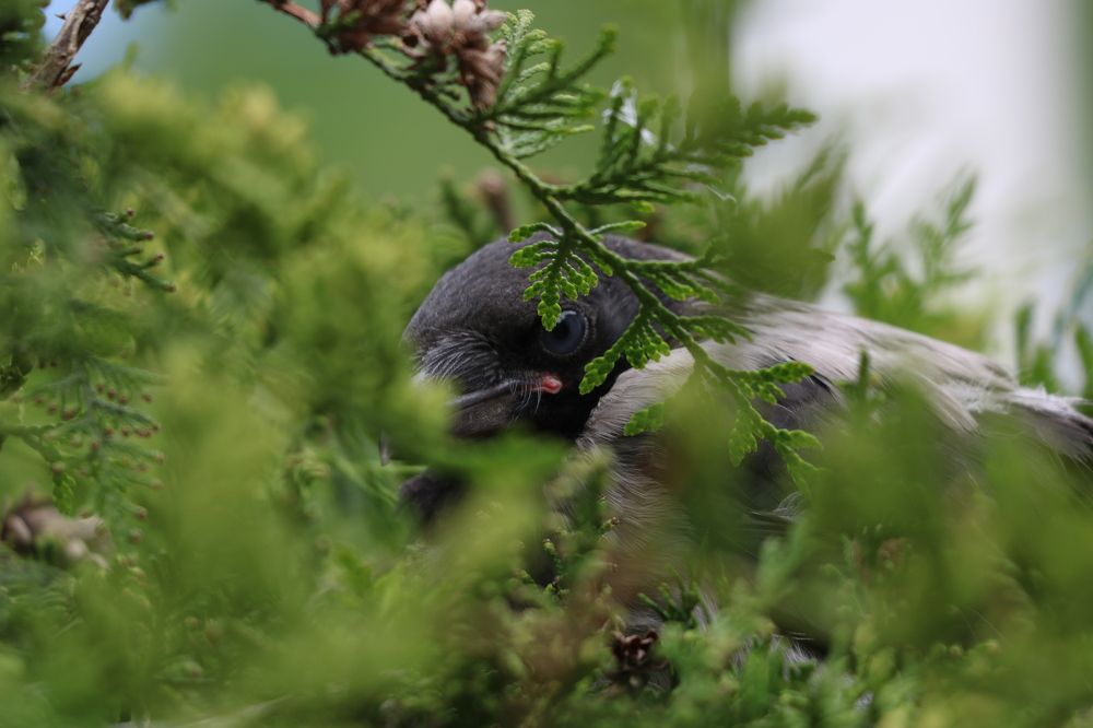 Photograph by Евгений Пакулов