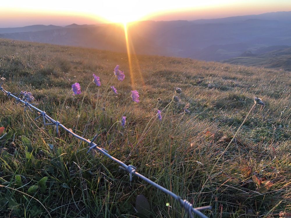Photograph by Татьяна Калайда