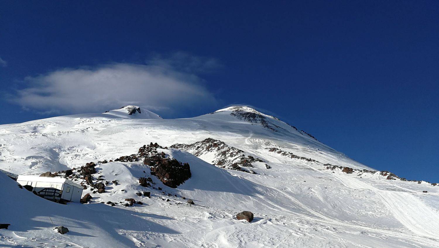 Photo #7335796
