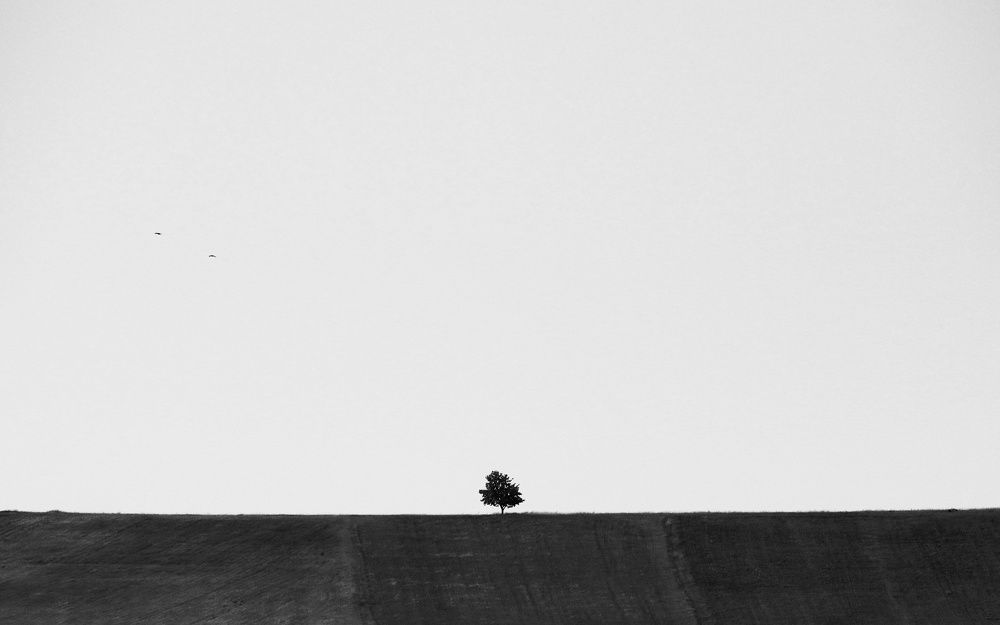 Photograph by Nurlan Tahirli