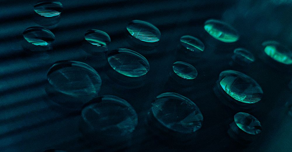 Photograph by Алеся