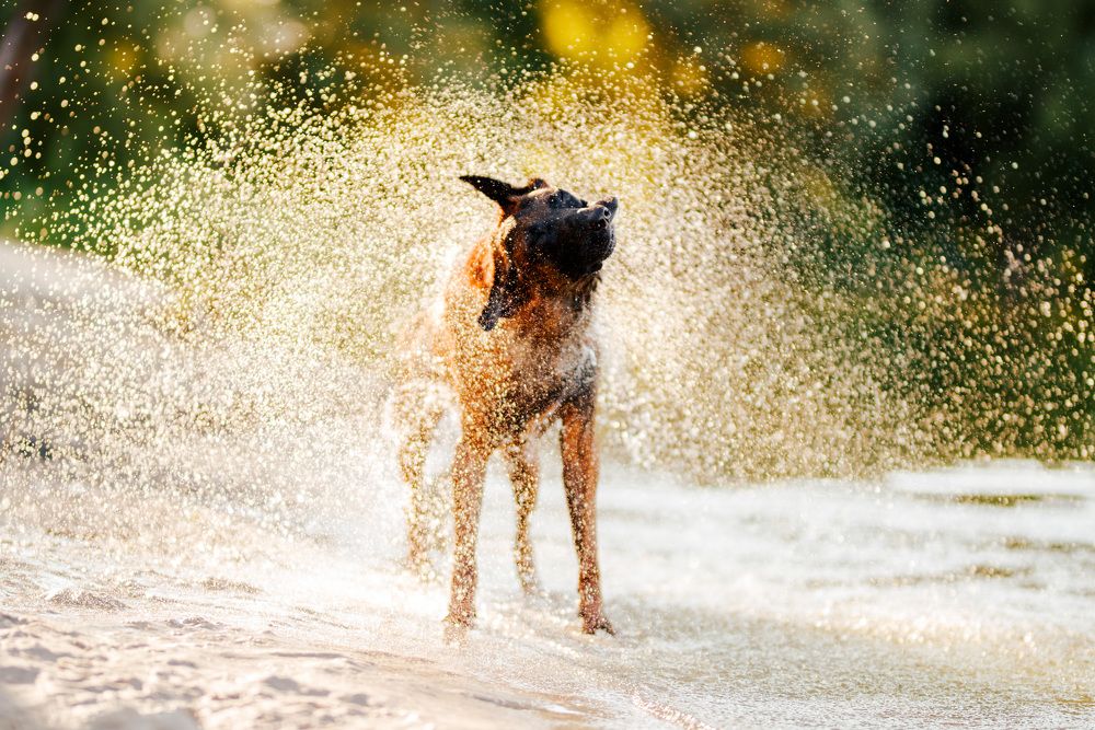 Photograph by Марина Плевако