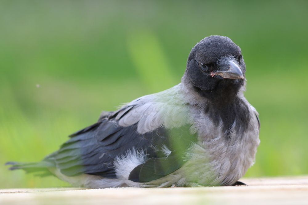 Photograph by Евгений Пакулов