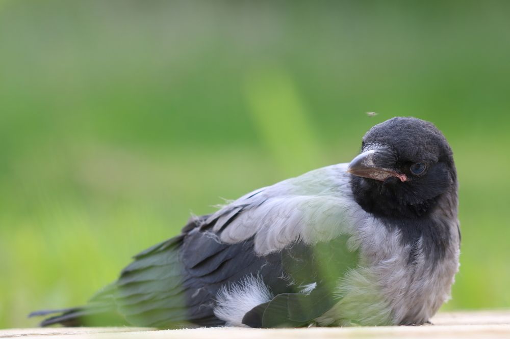 Photograph by Евгений Пакулов