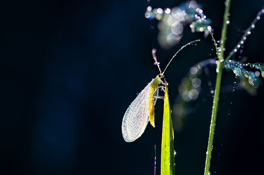 Photograph by Людмила Гудина