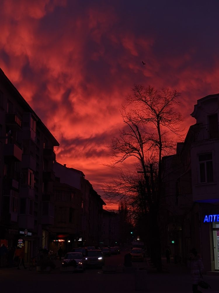 Photograph by Sofia Asenikova