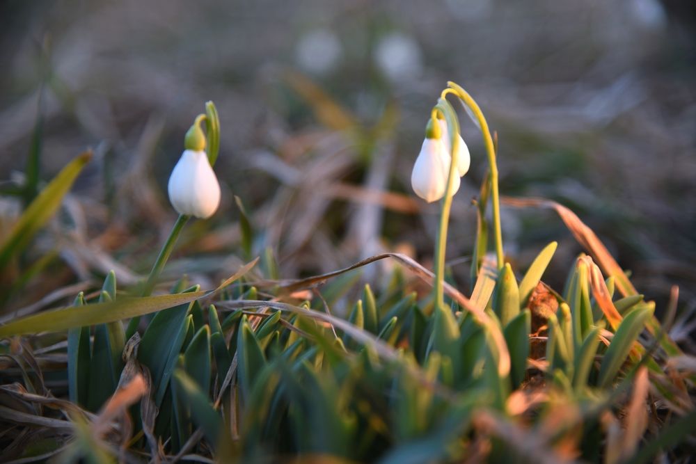 Photograph by Артур Биттиров