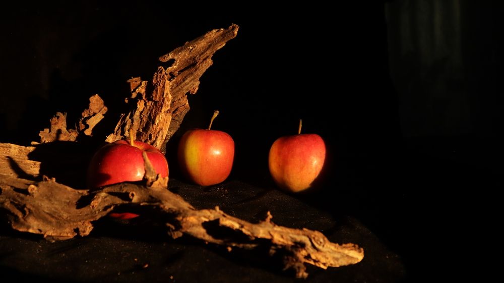 Photograph by Татьяна Маринич