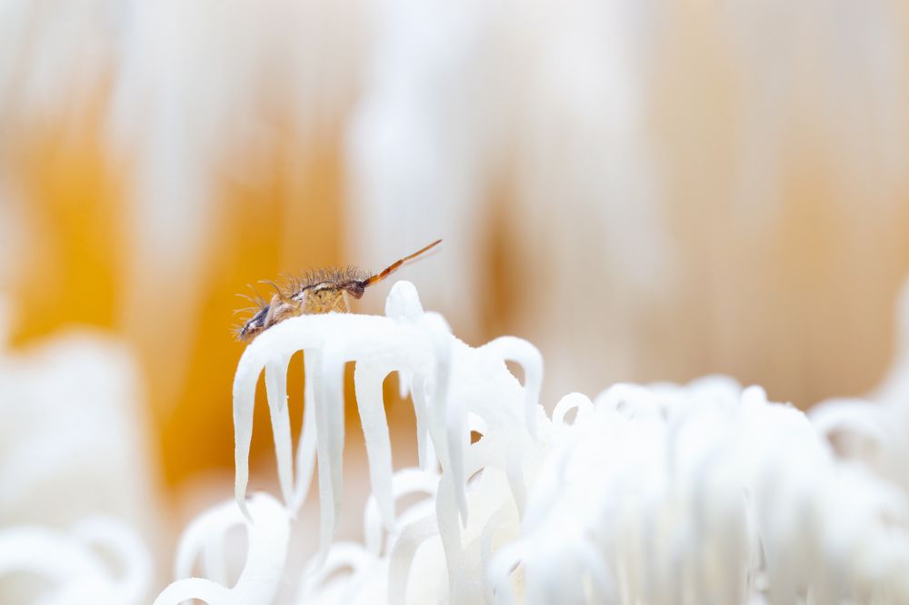 Photograph by Людмила Гудина