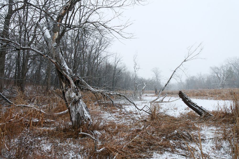 Photograph by Андрей Ларионов