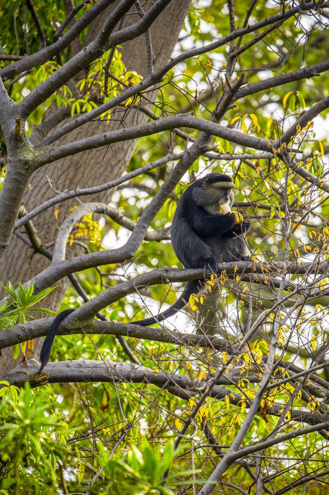 Photograph by Carin Siwa