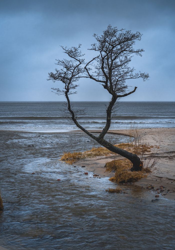 Photograph by Максим Мальцев