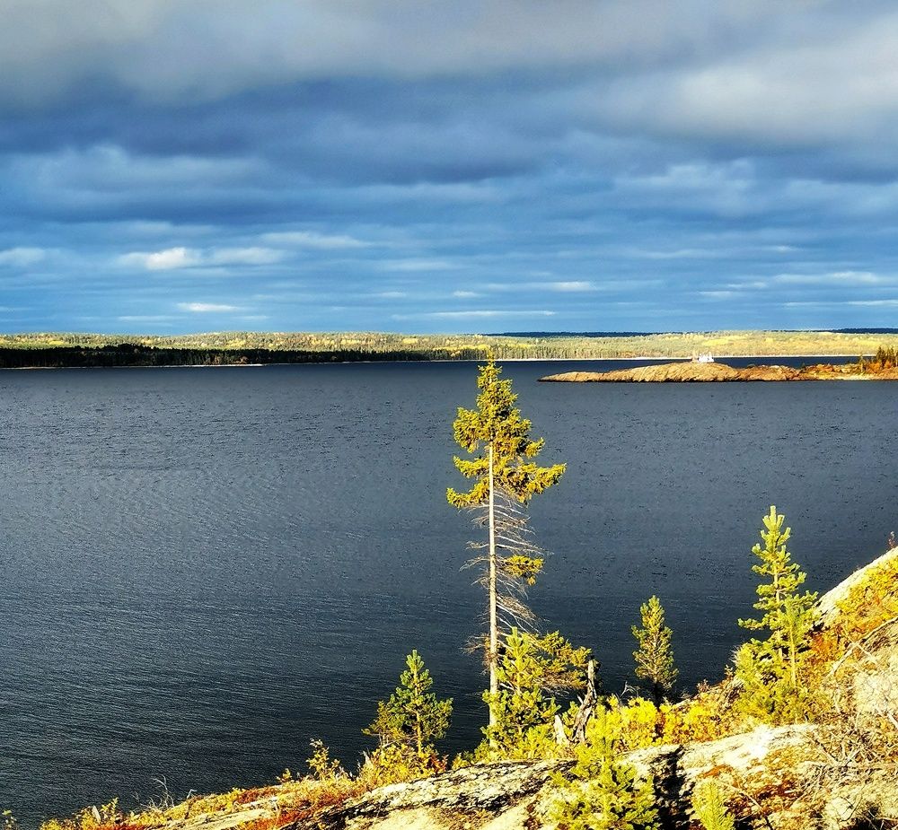 Photograph by Елена Артёменко