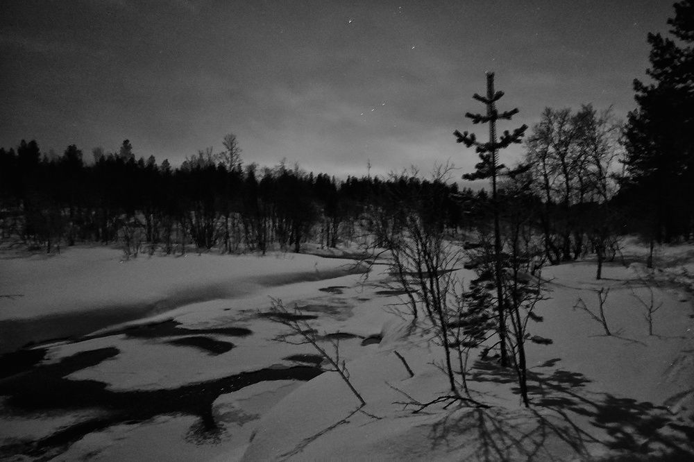 Photograph by Надежда Кузнецова