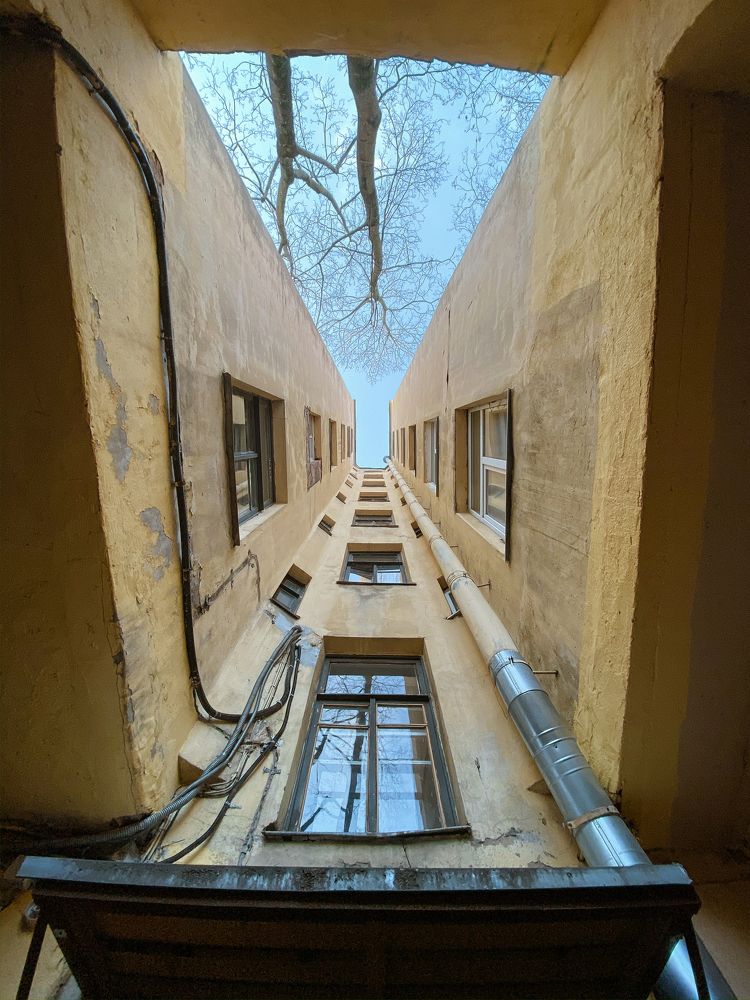 Photograph by Галарина Моисеева