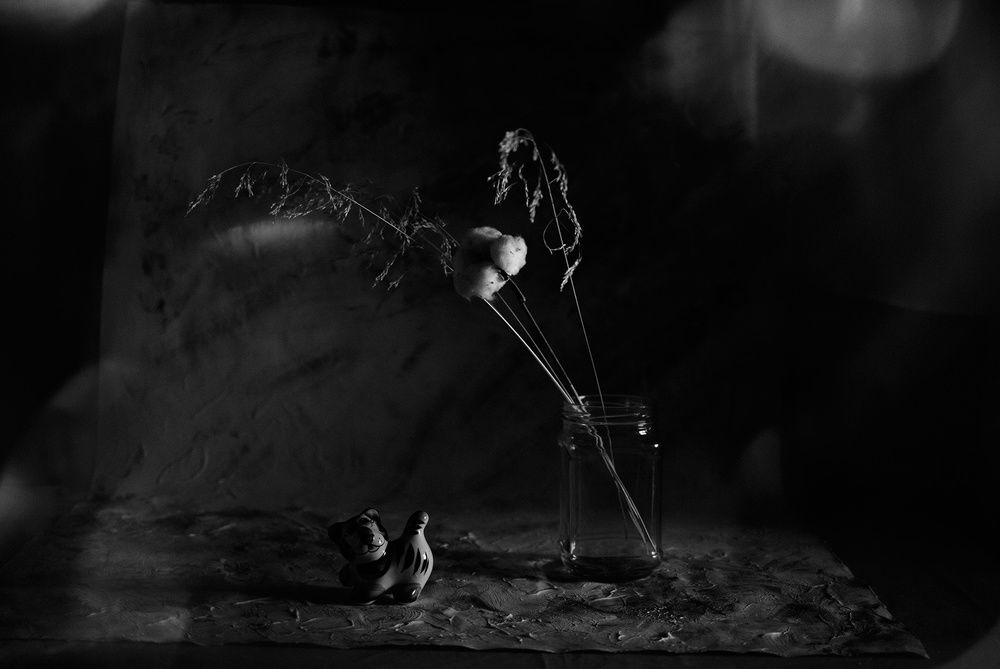 Год тигра...