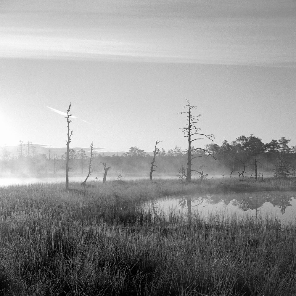 Photograph by Andres Papp