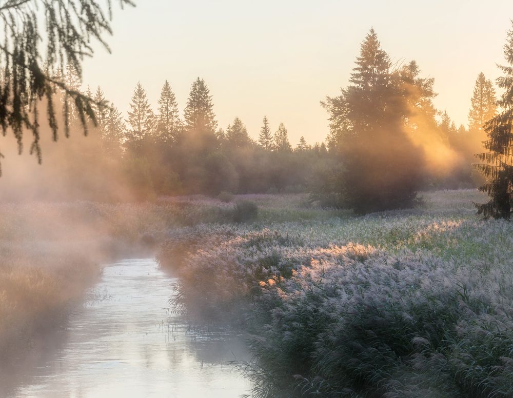 Photograph by Pavel Vaschenkov