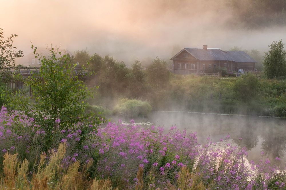 Photograph by Pavel Vaschenkov