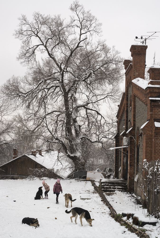 Photograph by Алексей Александрович