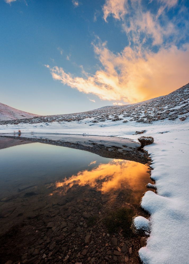 Photograph by majid arab