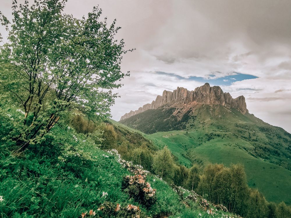 Фотография автора OXANA MARSOVA