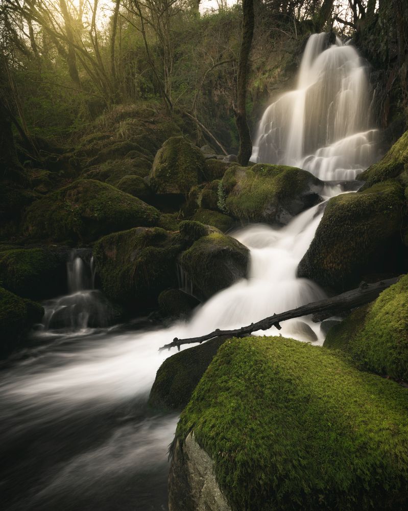 Photograph by Roberto