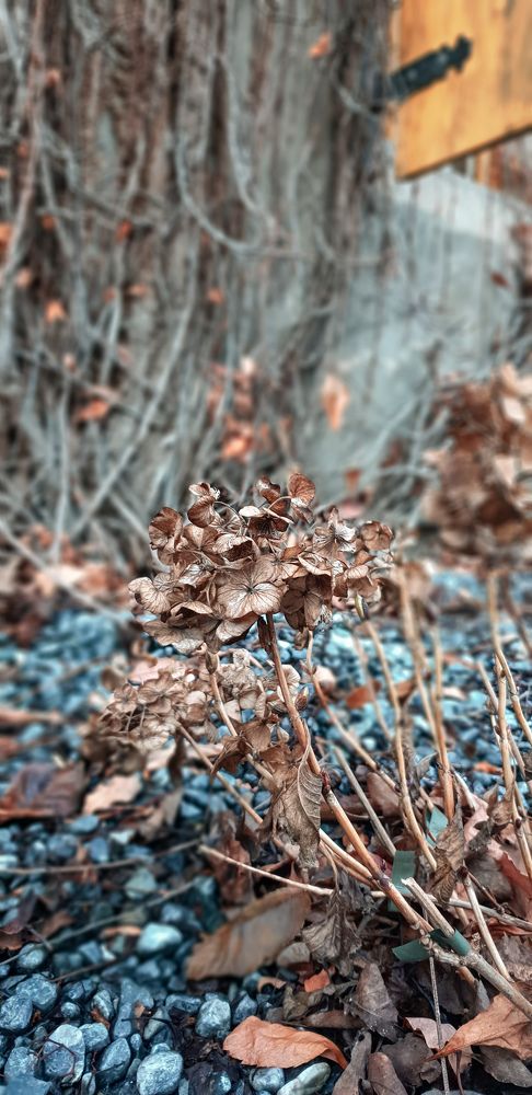 Photograph by Karolina Kamocka