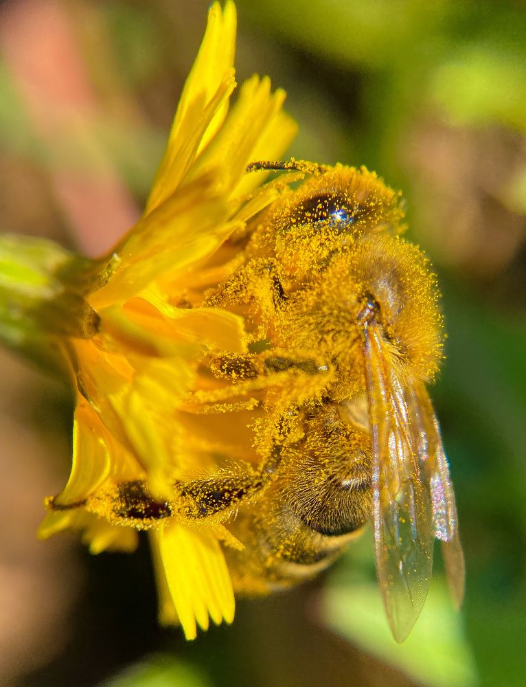 Фотография автора Анна Котлова