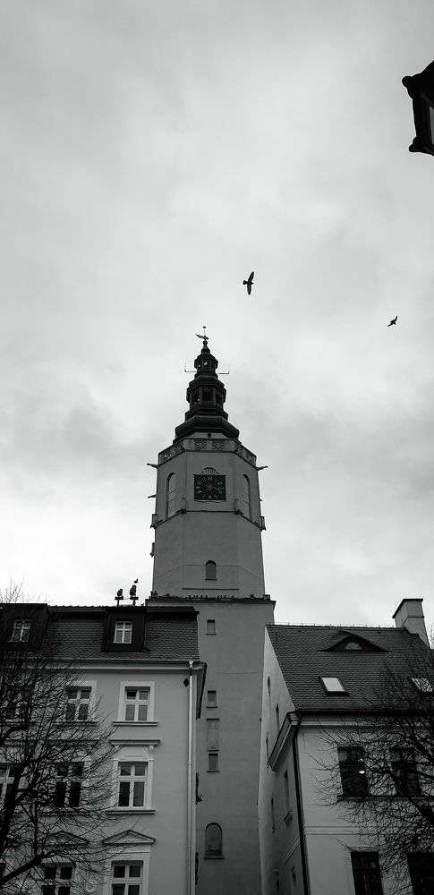 Photograph by Karolina Kamocka