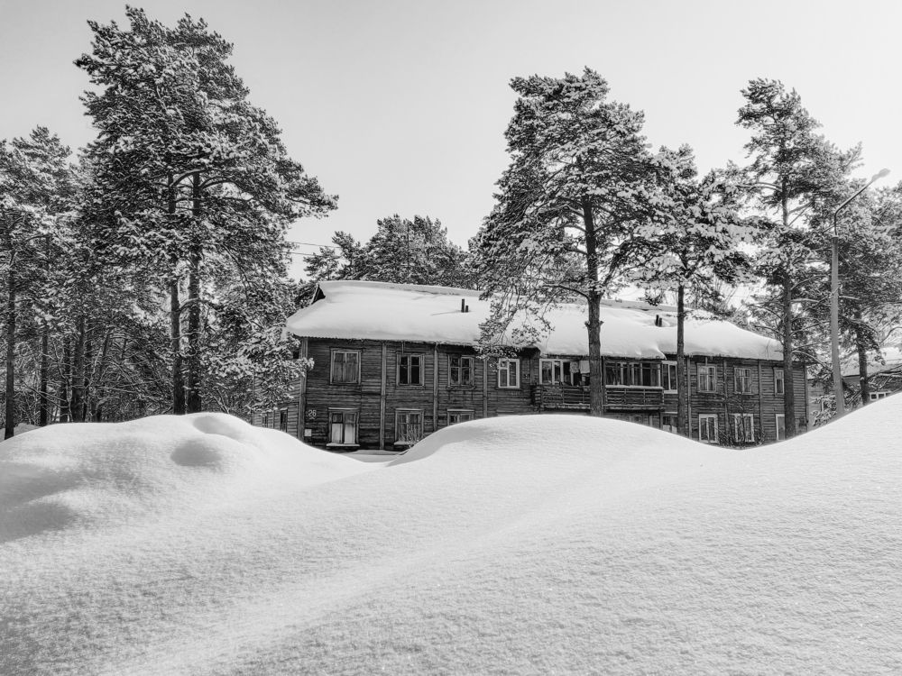 Photograph by Ольга Тюрина