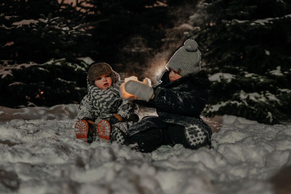 Photo #7336667