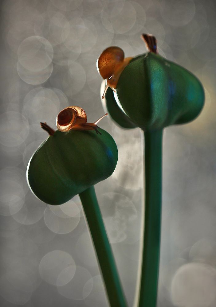 Photograph by Малика Маткарим