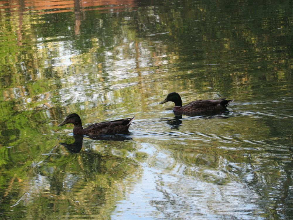 Photograph by Lyndsye