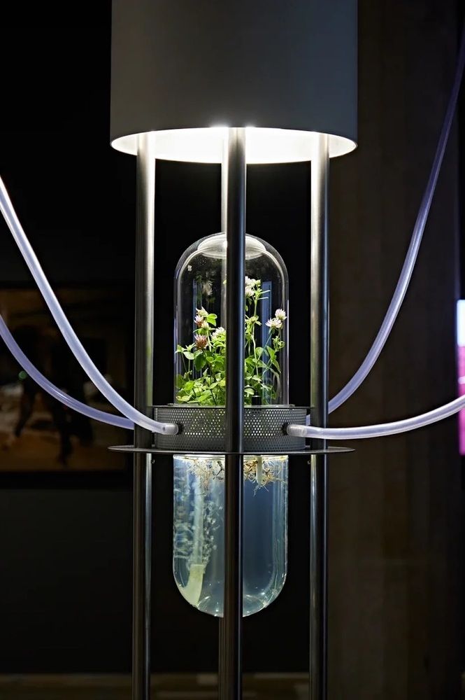 Photograph by Денис Лапшин