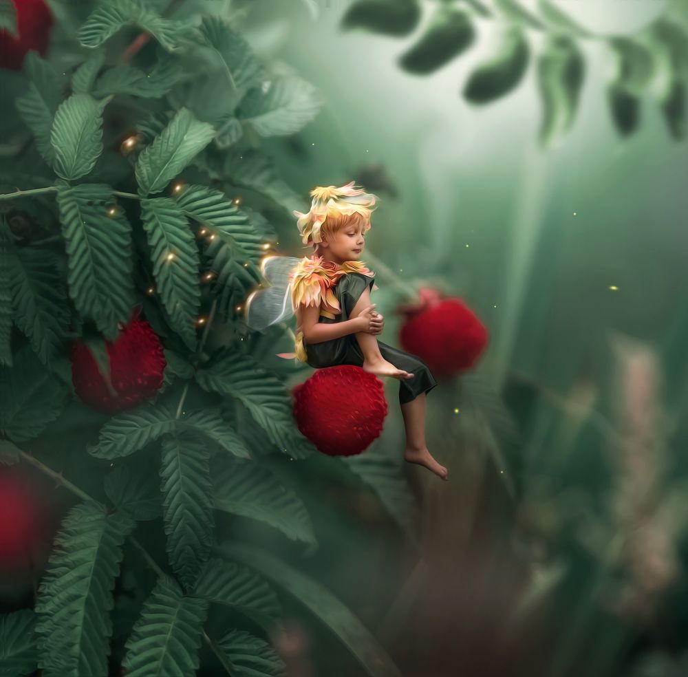 Фотография автора Ольга Клипина