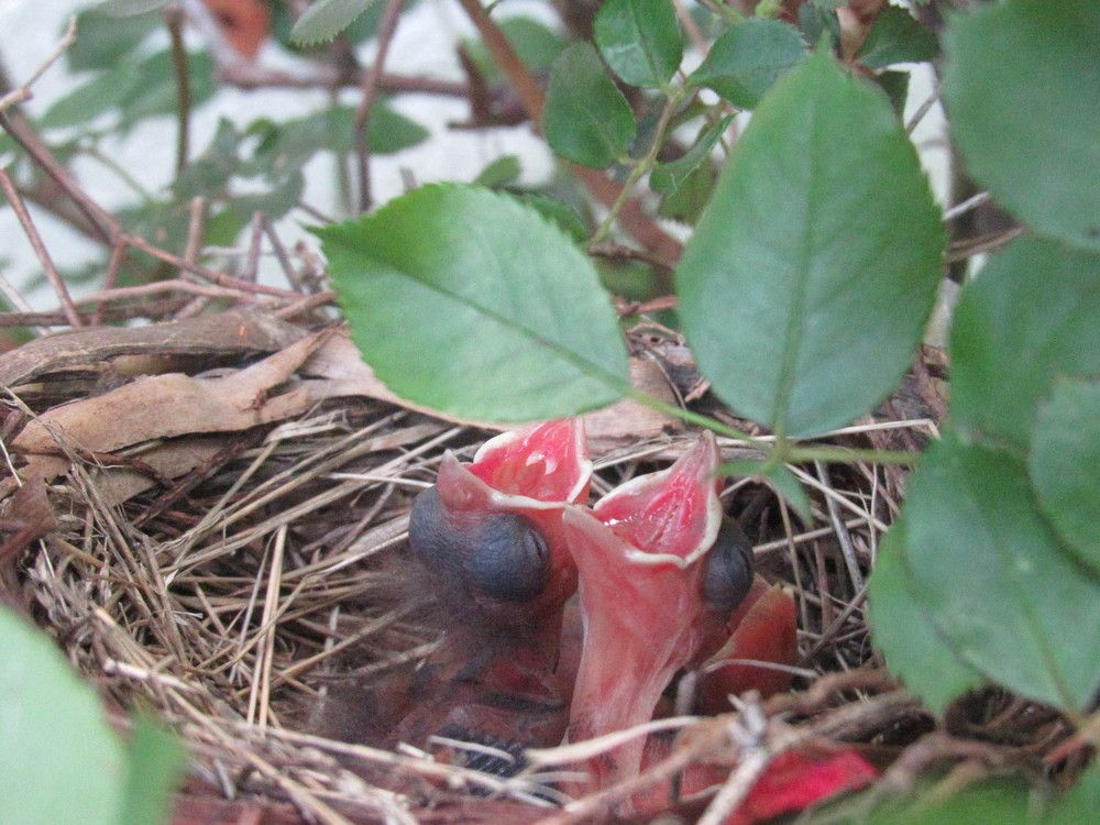 Photograph by Lyndsye