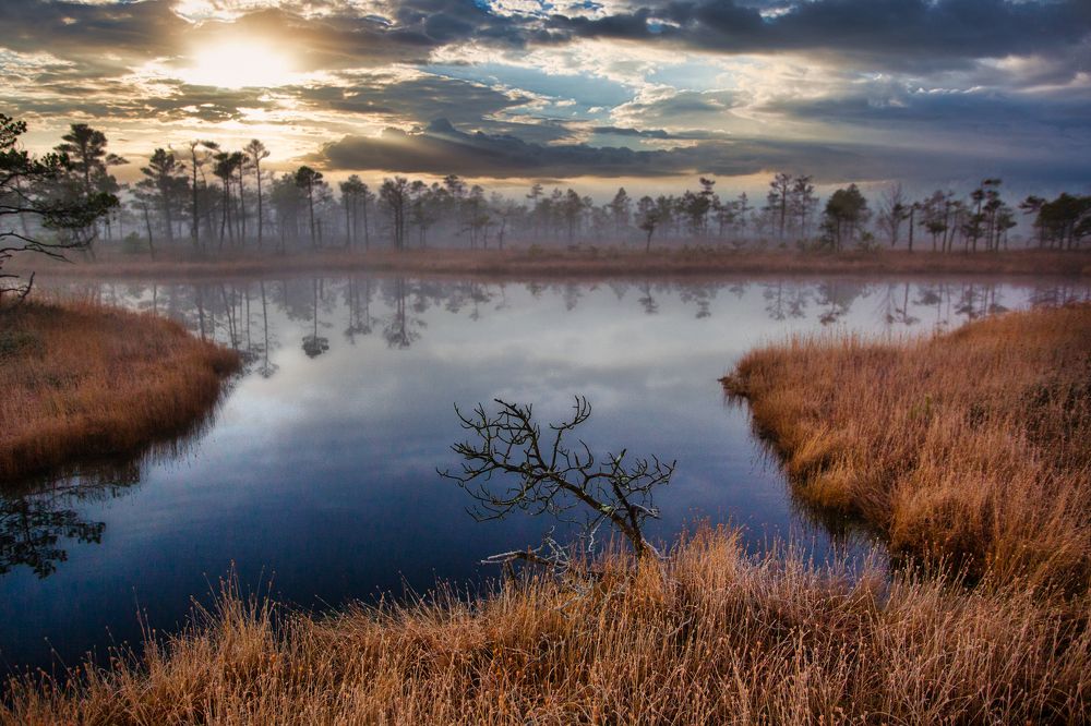 Photograph by Aleksandr