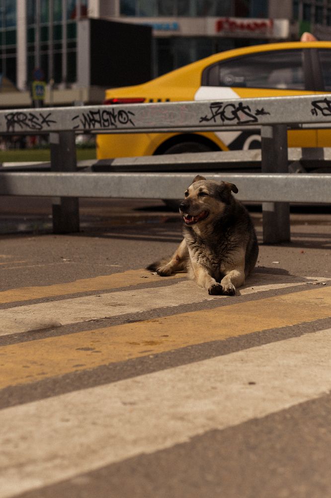 Photograph by Гульнара Айнетдинова