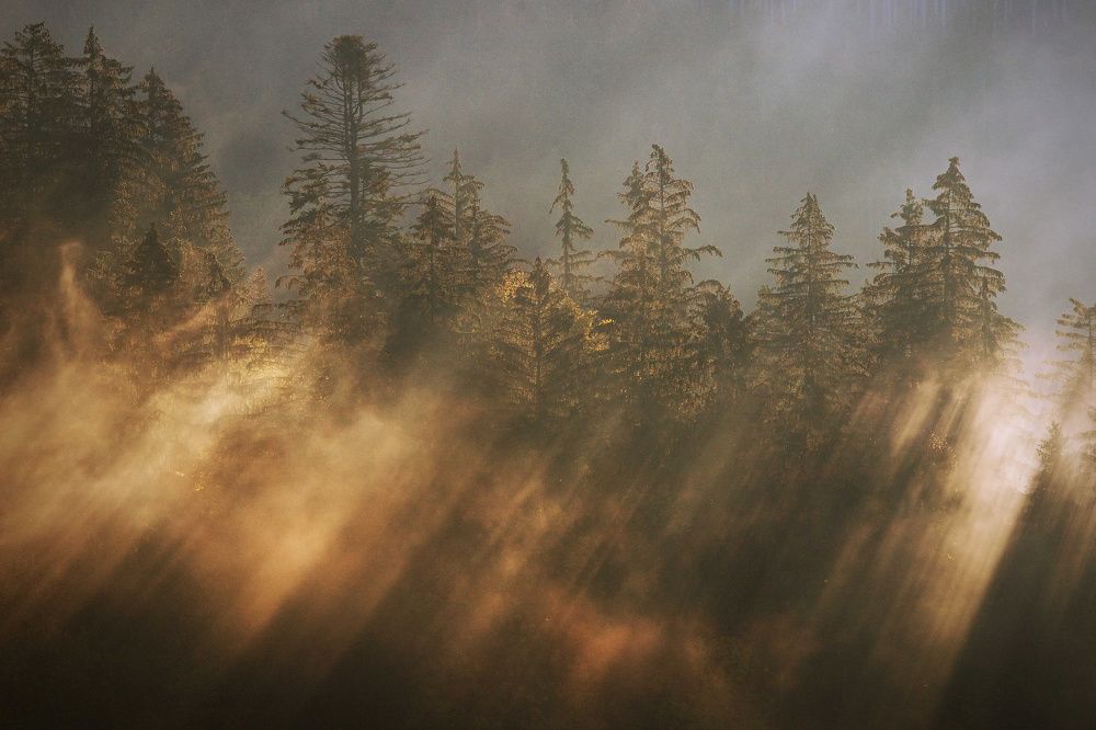 Photograph by Peter Matejcek