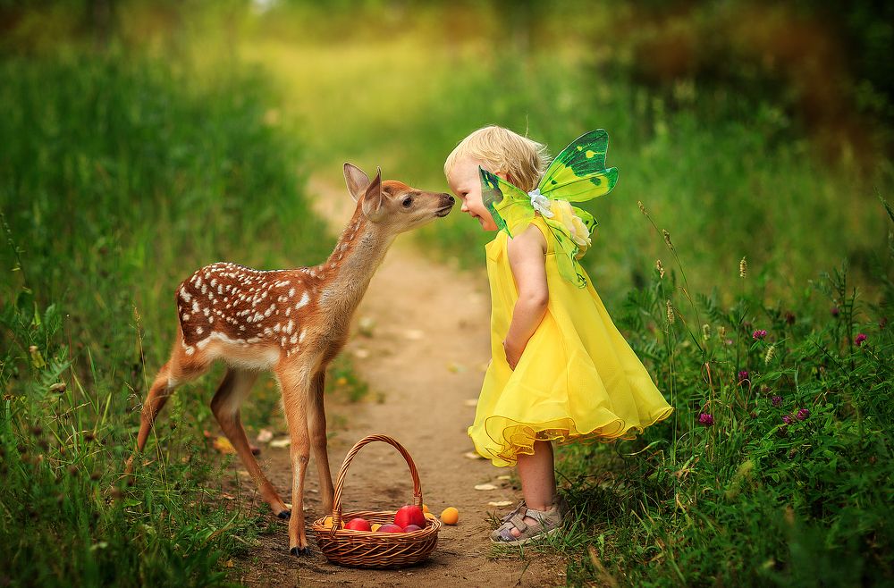 Photograph by Елена Сопот