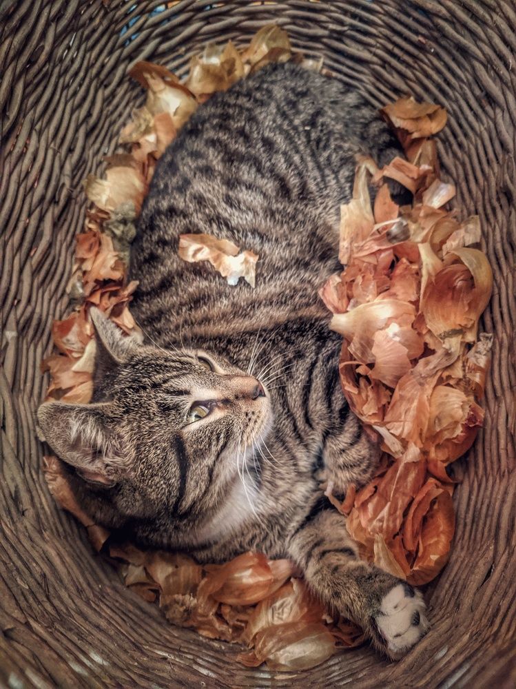 Photograph by Наталья Егорова