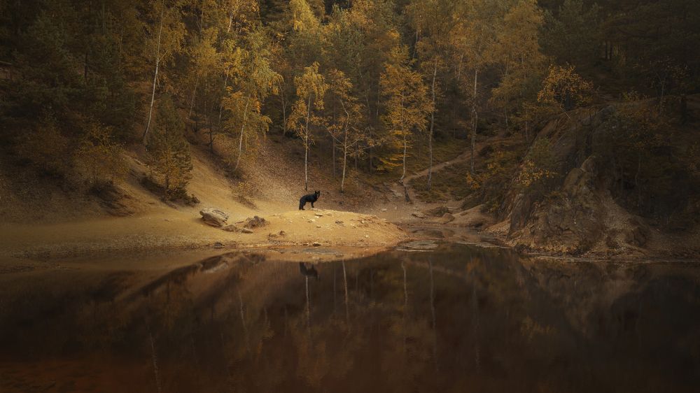 Photograph by Kasia Heinrich