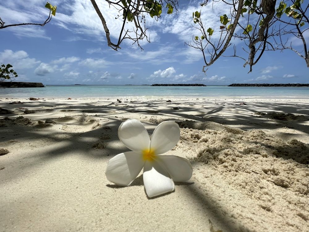 Photograph by Самусева Марина