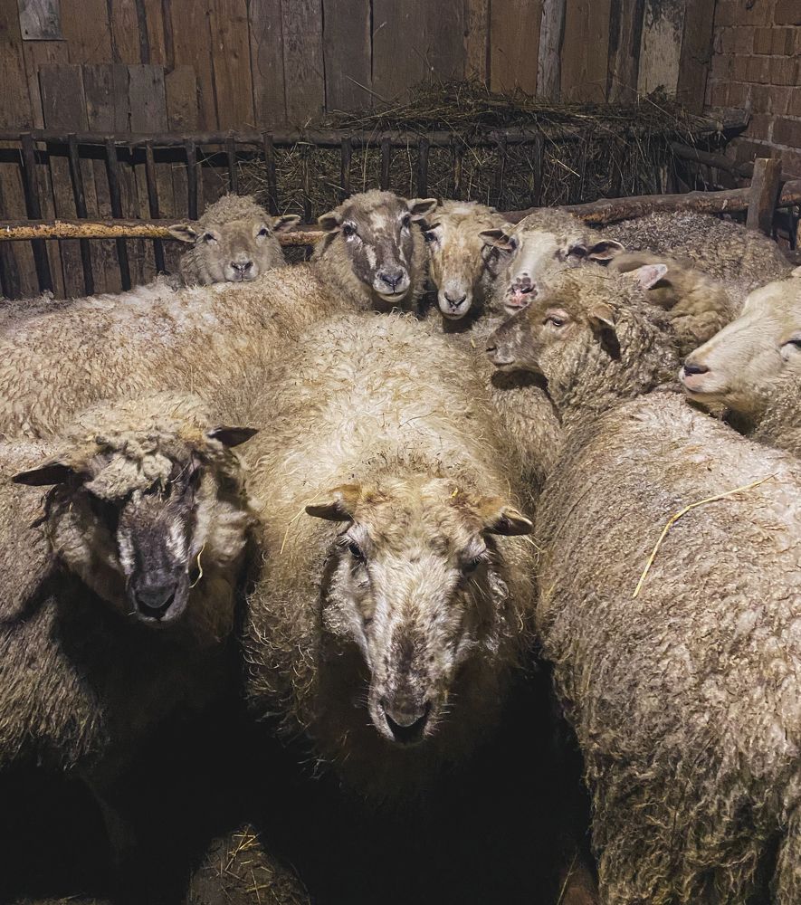 Photograph by Сусанна Аллаярова