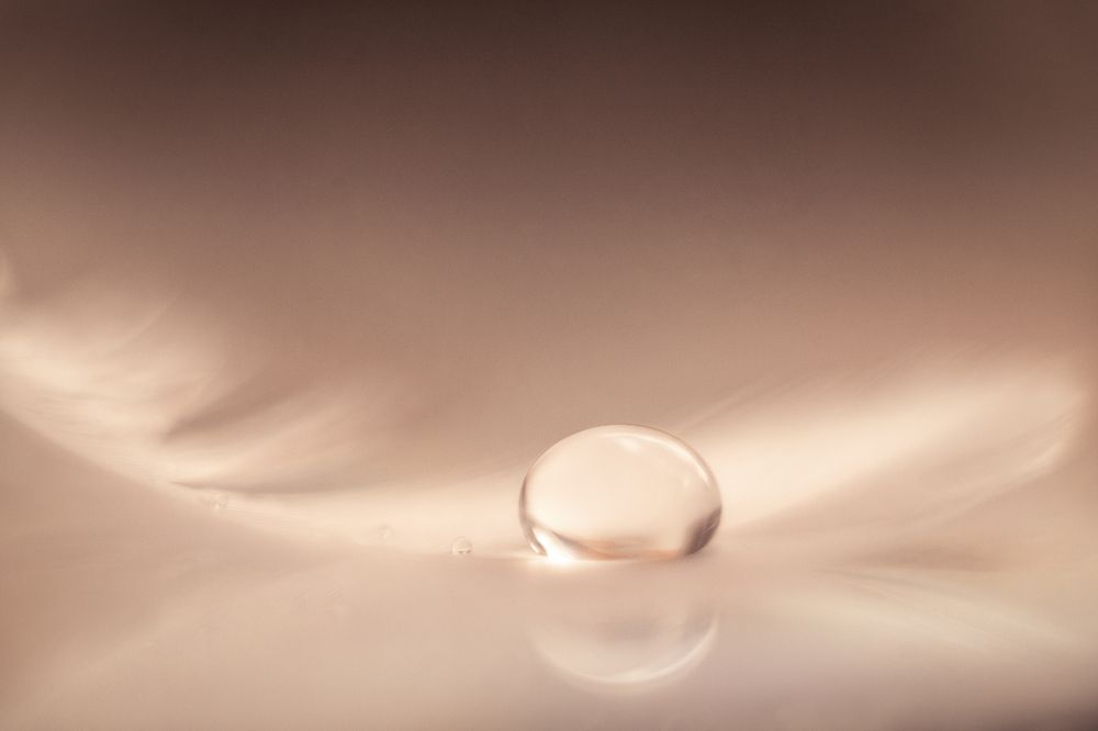 Фотография автора Анжелика